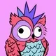 Crazy owl