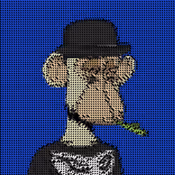81