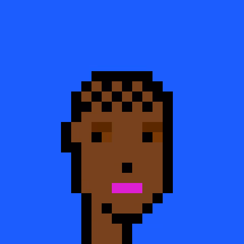 Punks #1071