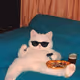 0xCat