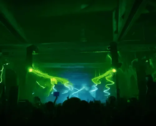 Vivid Fever Dreams [clips]