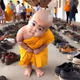 YOUNG MONK: MELONI