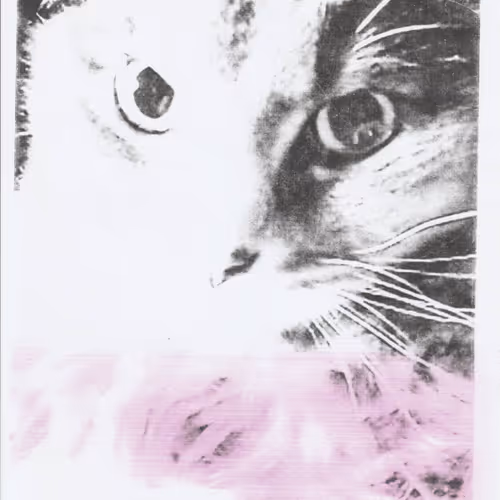 Meow