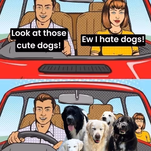 Dogs Beat Girl