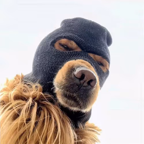 Ski Mask