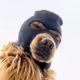Ski Mask