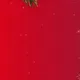 MERRY CHRISTMAS FREEE COMMUNITY