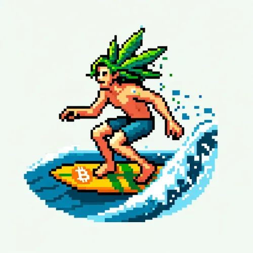 Surfing Tech
