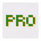Framedl PRO Participant Pass