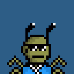 项目媒体占位符