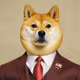 DOGE 2024