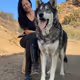 Loki Wolf