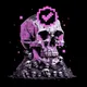 verified-limited edition#4