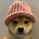 dogwifhat