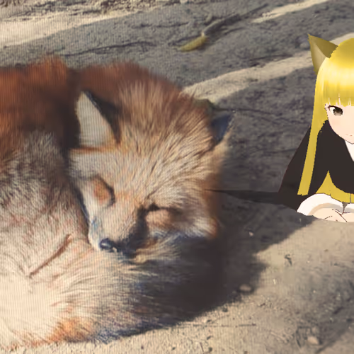 daily miint #fox