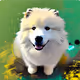Samoyed