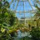 greenhouse