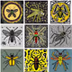 beetles
