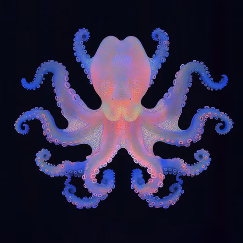 octopus