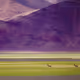Purple Mountain