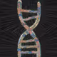 Genetics