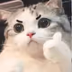 Okaycat Base
