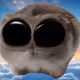 Giga Smol
