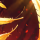 golden feathers