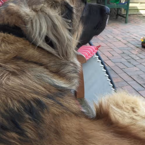 Rest In Peace My Love