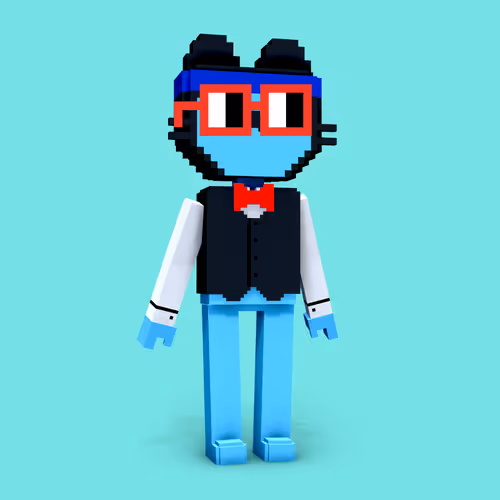 3D Base Voxel Ninja CoolCat