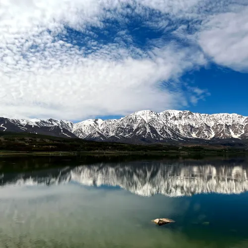 Reflection