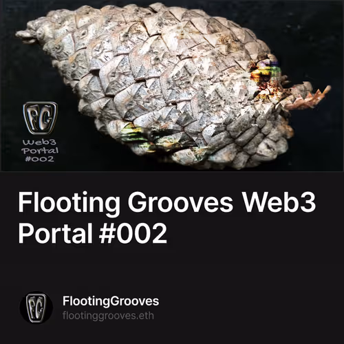 Flooting Grooves Web3 Portal #002