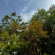 KOLORS of nature 01