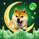 moondoge