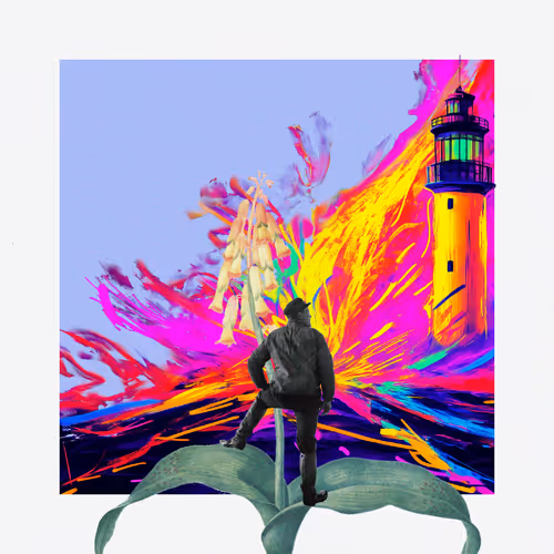 Collabs