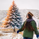 Holiday Harmony