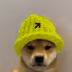 dogwifhat↗︎