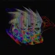 Feedback Prisms