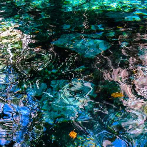 Cenote #15
