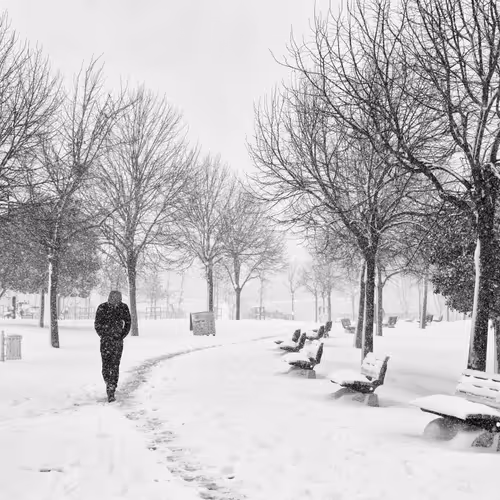 Alone In The Snow 2