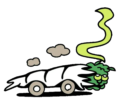 Item #115354212454659954461849943131362170747555571676407808537033960967525237784588 Media