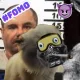 Mad Miggles #1577