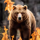 Burning Bear
