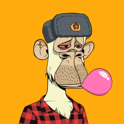 Bitcoin Ape Yacht Club #884