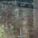 TestingCollectionBase