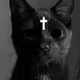 wowkitty