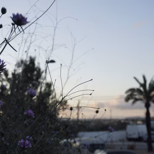 NFT Photography IBIZA 24'