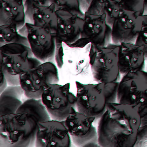 Negative Cats #1