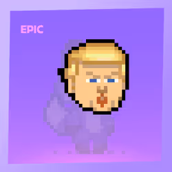 232836691427886291383397138813362638864