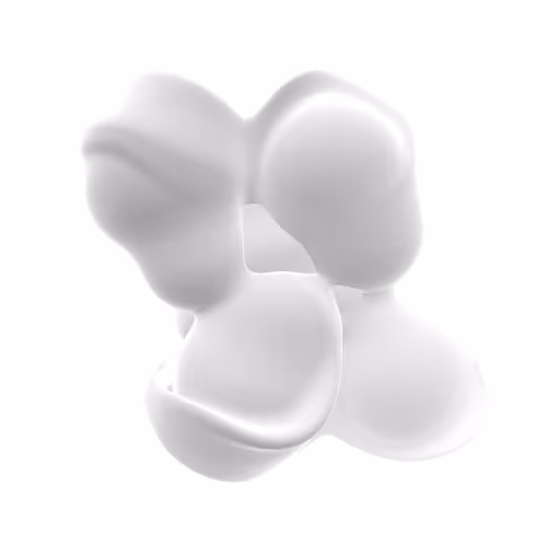 Samsa 5